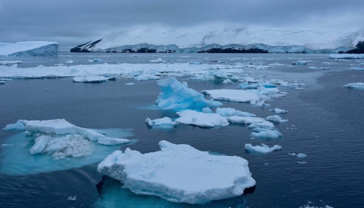 Paulet Island in Antarctica