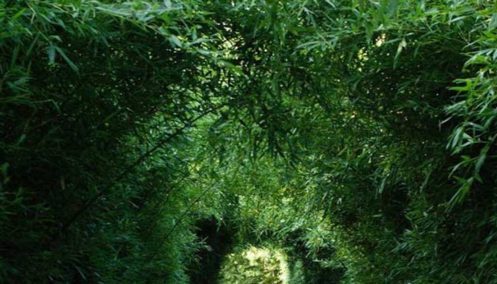 68612c929db0f64469f2b2f9