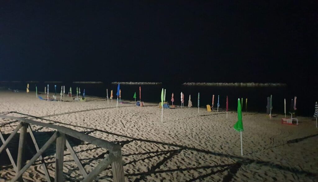 governo balneare immagine anteprima newsletter rinascita
